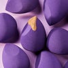 Natural Beauty Makeup Blending Sponge